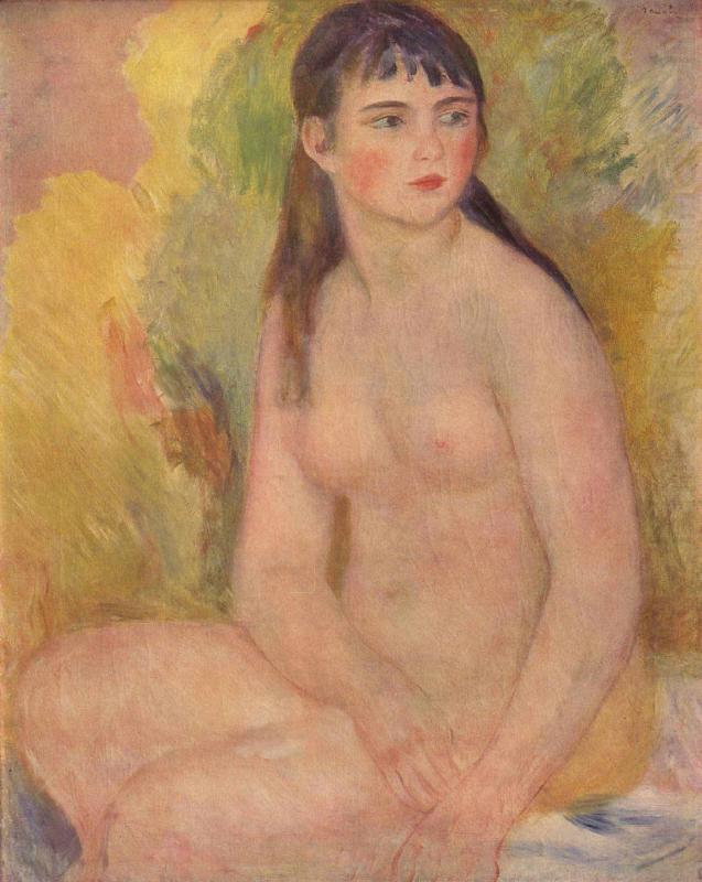 Weiblicher Akt, Pierre-Auguste Renoir